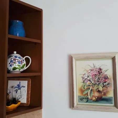 Tatyana Studio Oliva Обзор